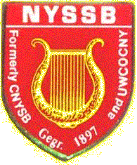 NYSSB Pin